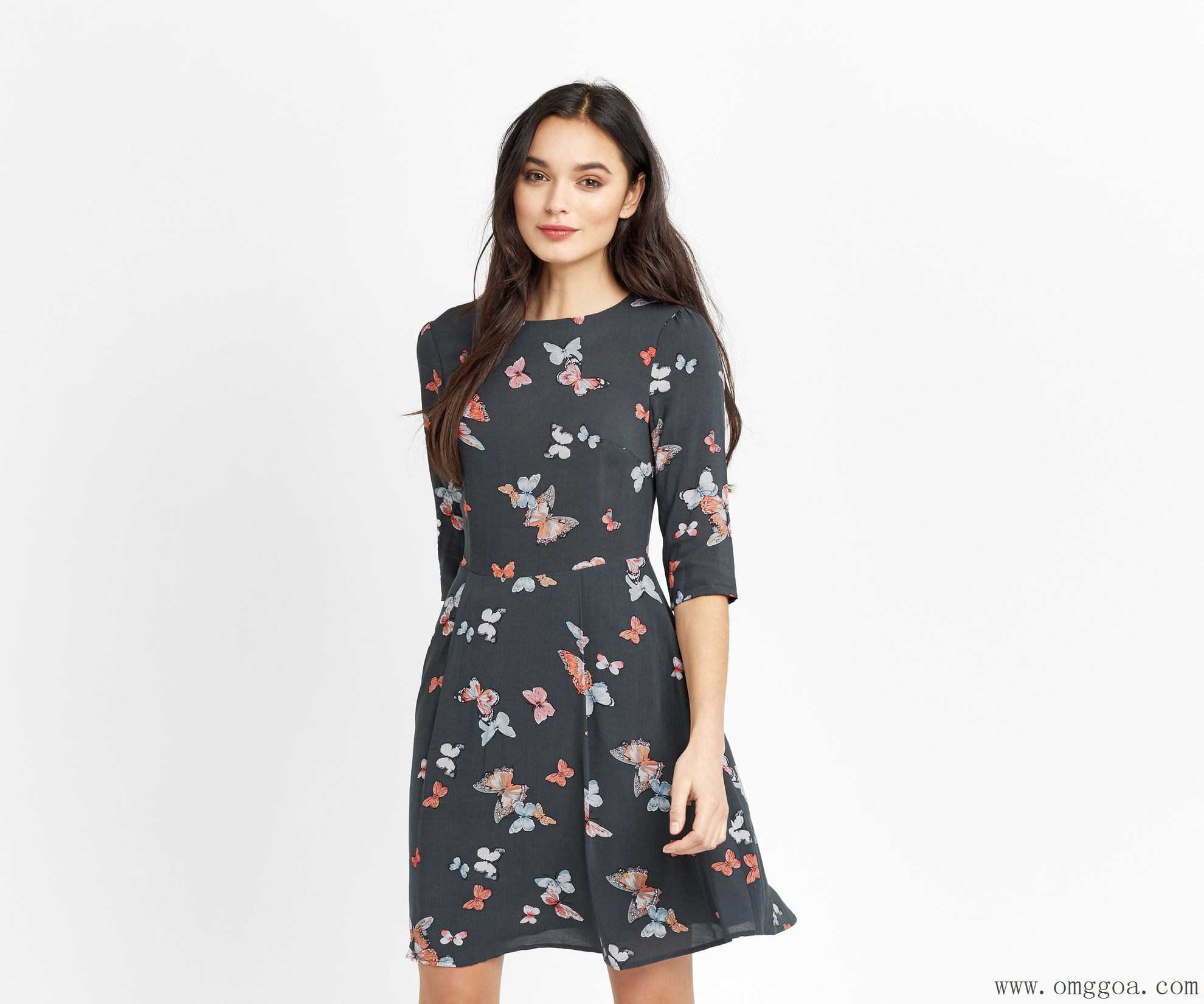 Maecenas ullamcorper