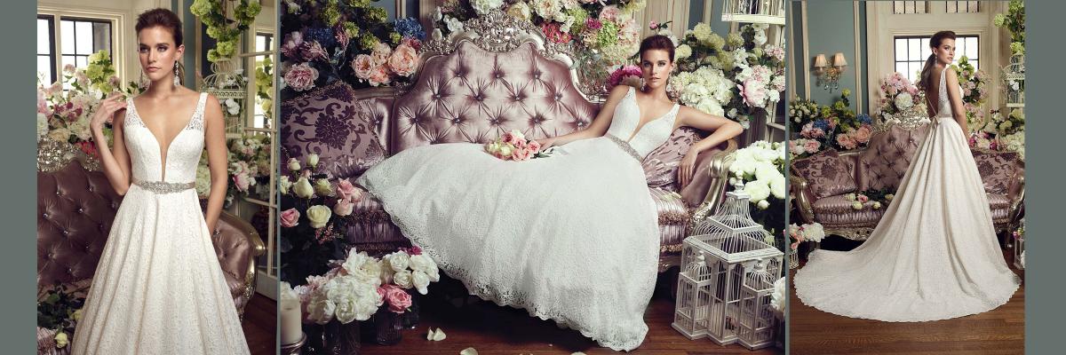 Donec pede justo fringilla vel